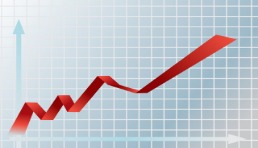 北美科尔公司Q4销售下降，在线销售势头猛劲